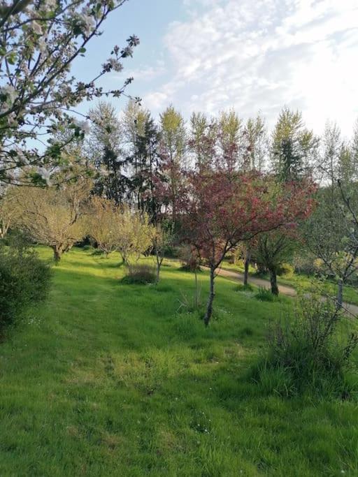 Chalet En Pleine Nature Au Bord D'Un Etang Lanvallay Екстер'єр фото