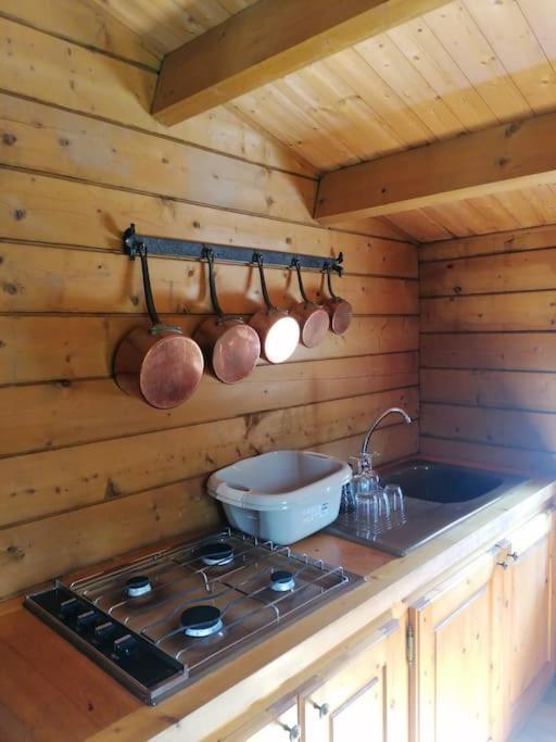 Chalet En Pleine Nature Au Bord D'Un Etang Lanvallay Екстер'єр фото