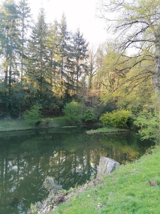 Chalet En Pleine Nature Au Bord D'Un Etang Lanvallay Екстер'єр фото