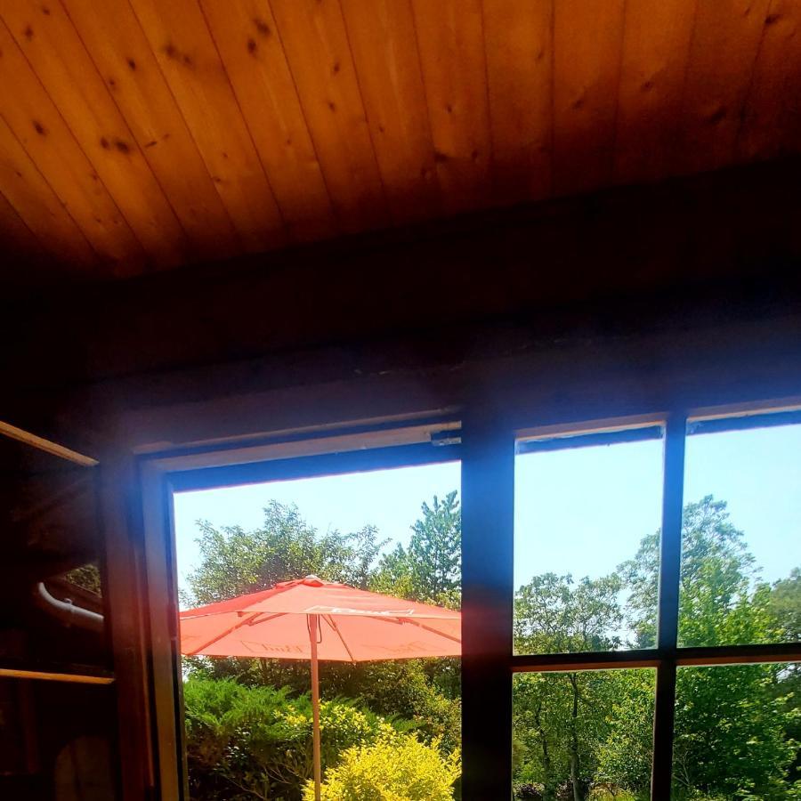 Chalet En Pleine Nature Au Bord D'Un Etang Lanvallay Екстер'єр фото